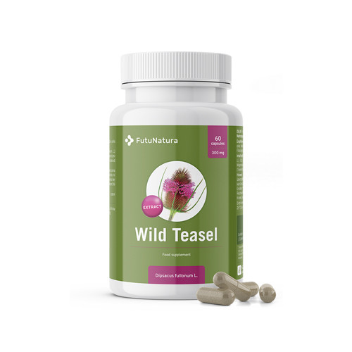 Wilde Karde - Borreliose, 60 Kapseln