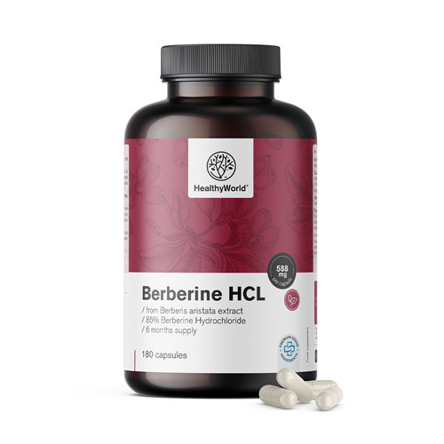 Berberin HCL 500 mg aus Extrakt von Berberis aristata