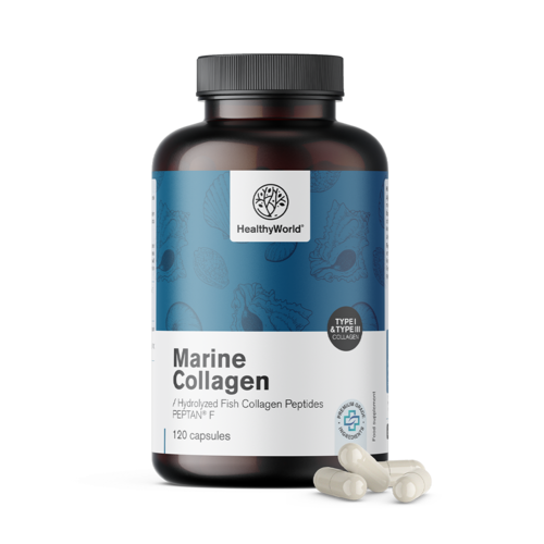 Meereskollagen 1170 mg, 120 Kapseln