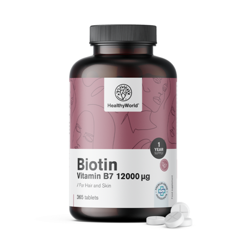Biotin 12.000 µg, 365 Tabletten