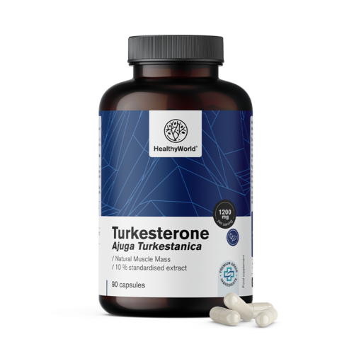 Turkesterone 1200 mg, 90 Kapseln