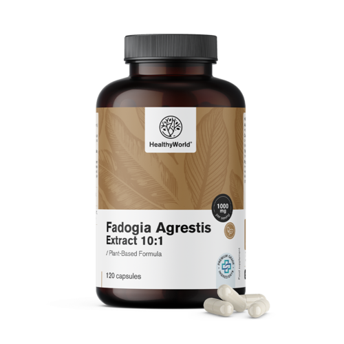 Fadogia Agrestis 1000 mg, 120 Kapseln