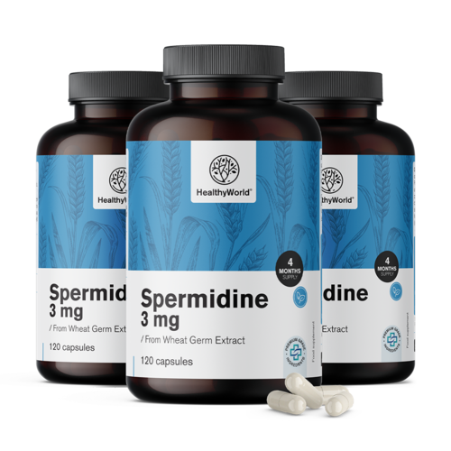 3x Spermidin 3 mg – aus Weizenkeimextrakt, zusammen 360 Kapseln