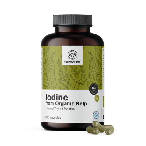 Natürliches Jod 200 µg – aus BIO Kelp, 365 Kapseln