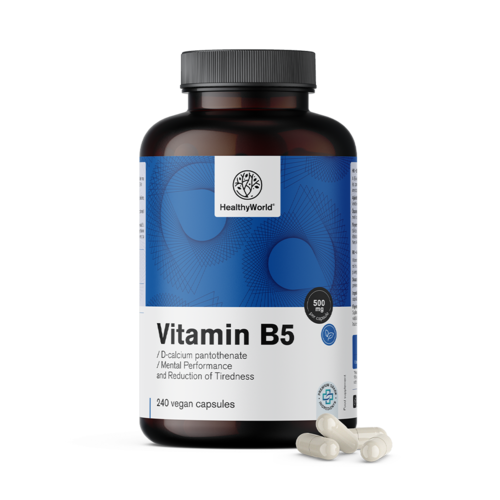 Vitamin B5 500 mg, 240 Kapseln