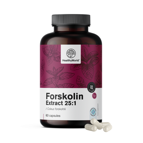 Forskolin – Extrakt aus Indischer Buntnessel 20 mg, 60 Kapseln