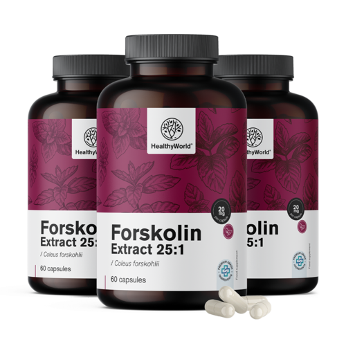 Forskolin – Extrakt aus Indischer Buntnessel 20 mg