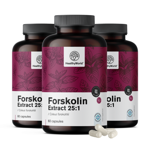 3x Forskolin – Extrakt aus Indischer Buntnessel 20 mg, zusammen 180 Kapseln