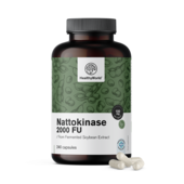 Nattokinase 2000 FU, 240 Kapseln