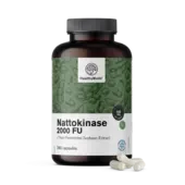 Nattokinase 2000 FU, 240 Kapseln