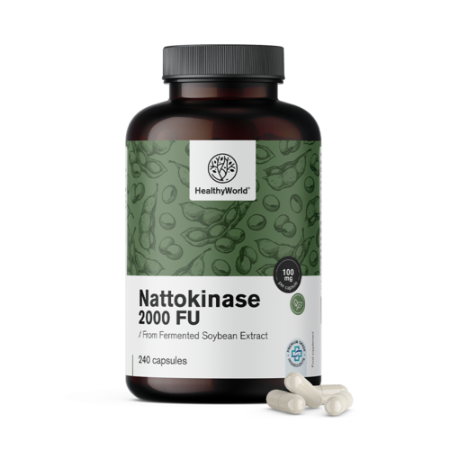 Nattokinase 2000 FU, 240 Kapseln