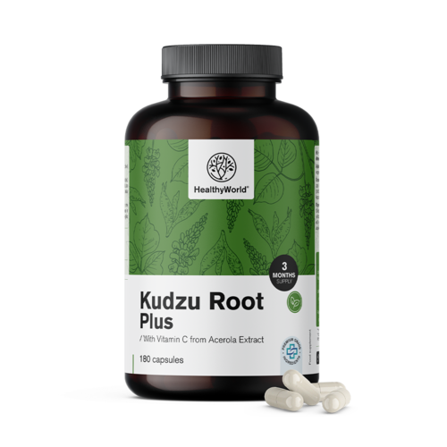  Kudzu Plus Komplex, 180 Kapseln