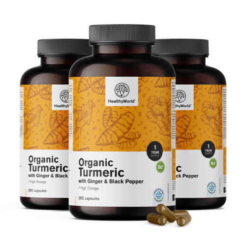 3x BIO Kurkuma 480 mg - mit Ingwer und schwarzem Pfeffer, zusammen 1095 Kapseln