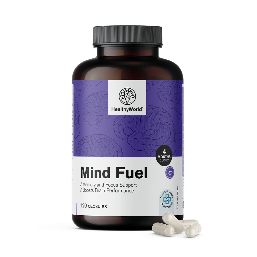 Mind Fuel - Gedächtnis und Konzentration