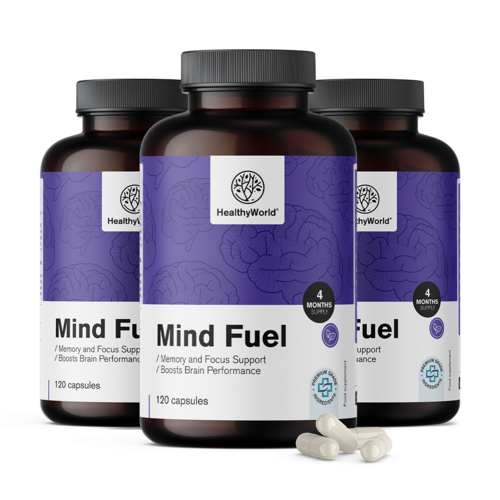 3x Mind Fuel – Gedächtnis und Konzentration, zusammen 360 Kapseln