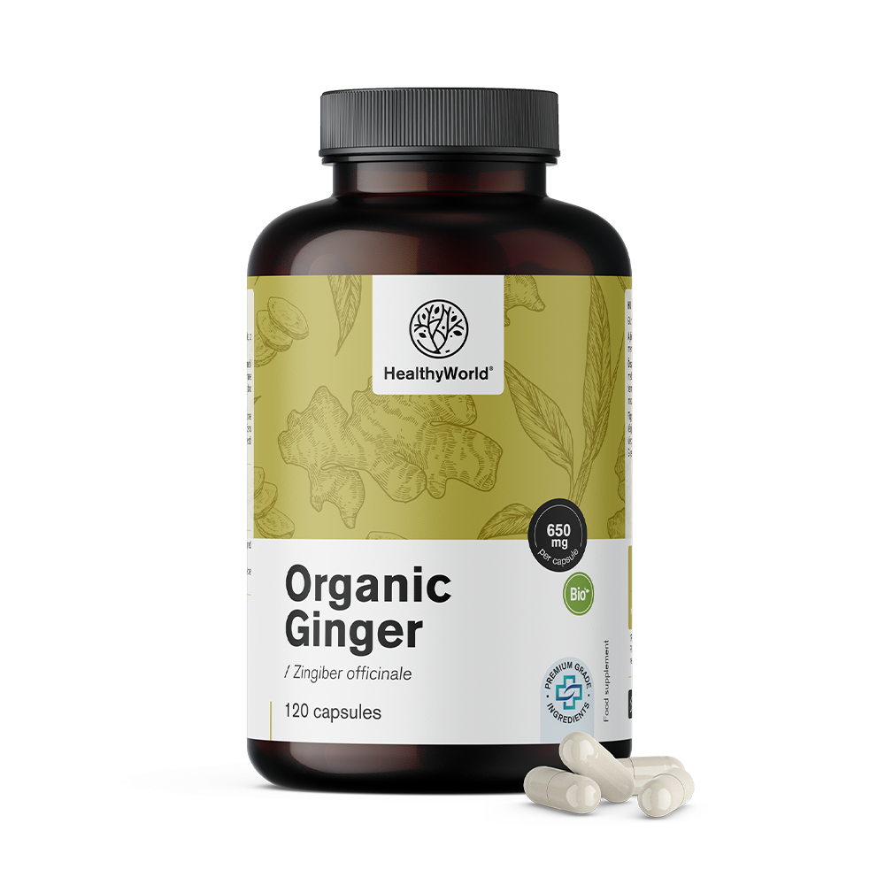BIO Ingwer 650 mg