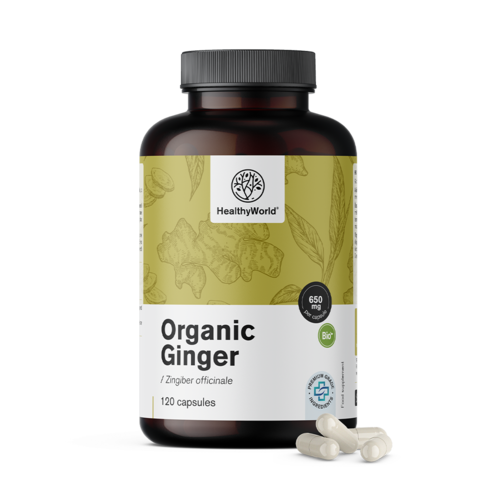 BIO Ingwer 650 mg, 120 Kapseln