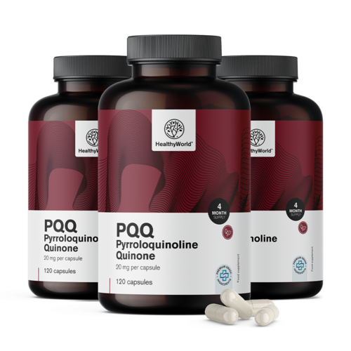 3x PQQ – Pyrrolochinolinchinon 20 mg, zusammen 360 Kapseln