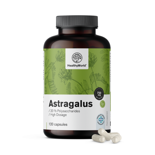 Astragalus – Extrakt, 120 Kapseln