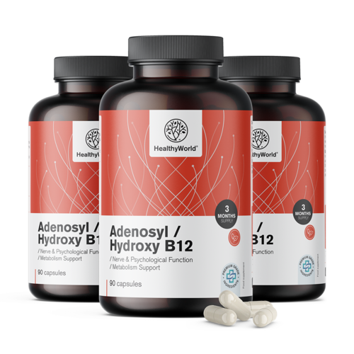 3x Adenosyl/Hydroxy B12 2000 µg, zusammen 270 Kapseln