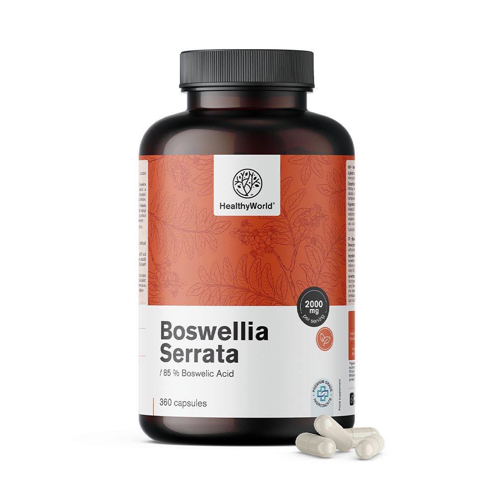 Weihrauch (Boswellia serrata) – 85 % Boswelliasäure