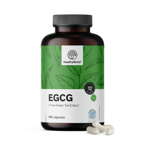 EGCG – aus Grüntee-Extrakt, 180 Kapseln