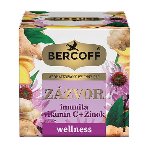 Immunsystem – Kräutertee mit Vitamin C und Zink, 10 x 2 g