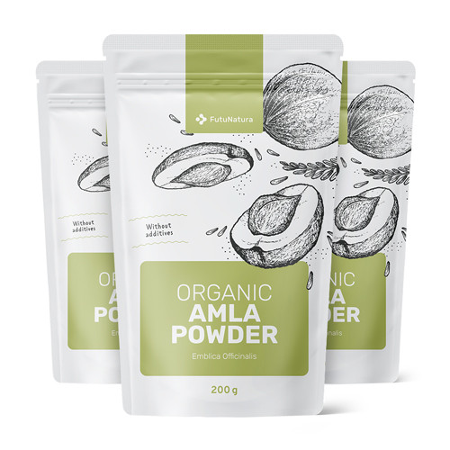 3x BIO Amla in Pulverform, zusammen 600 g