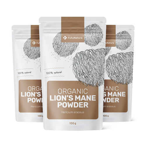 3x BIO Igel-Stachelbart (Löwenmähne) - Pilzpulver, zusammen 300 g