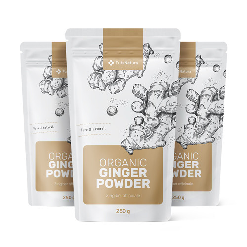 3x BIO Ingwerpulver, zusammen 750 g