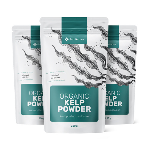3x BIO Kelp Pulver, zusammen 750 g