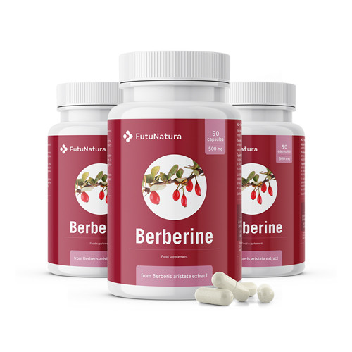 Berberin 500 mg aus dem Extrakt von Berberis aristata