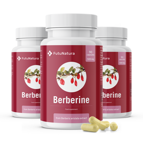 3x Berberin 500 mg, zusammen 270 Kapseln