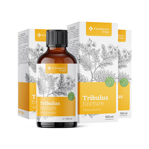 3x Erd-Burzeldorn – Tinktur, zusammen 300 ml