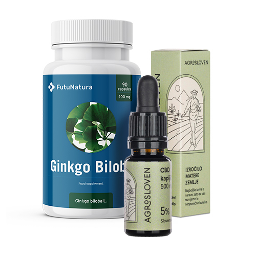 Gehirnkraft: CBD Tropfen + Ginkgo biloba, Set