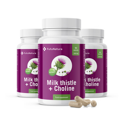 3x Mariendistel (Silymarin) + Cholin, zusammen 270 Kapseln