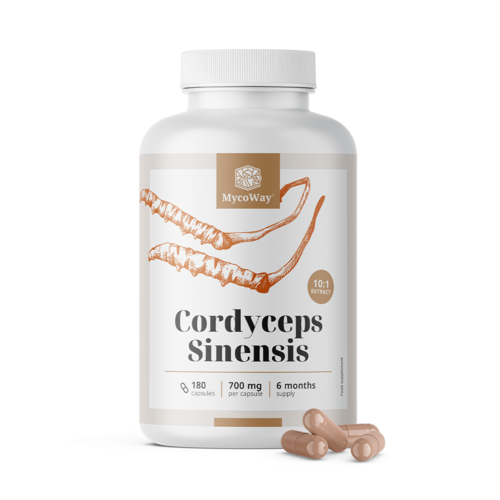 Cordyceps sinensis 1400 mg – Extrakt 10:1, 180 Kapseln