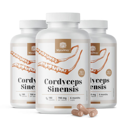 3x Cordyceps sinensis 1400 mg – Extrakt 10:1, zusammen 540 Kapseln