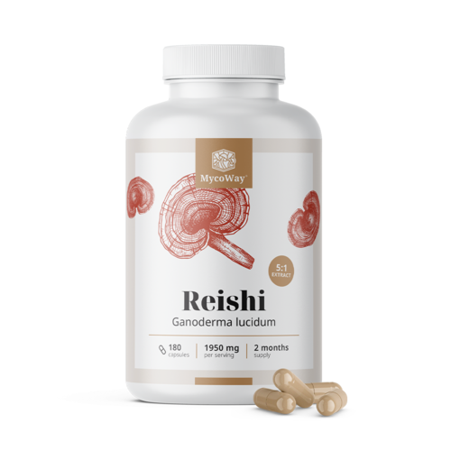 Reishi 1950 mg – Extrakt 5:1, 180 Kapseln