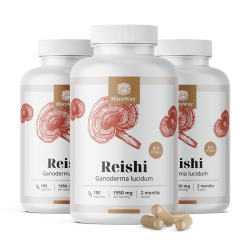 3x Reishi 1950 mg – Extrakt 5:1, zusammen 540 Kapseln