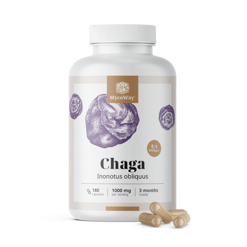 Chaga 1000 mg – Extrakt 5:1, 180 Kapseln