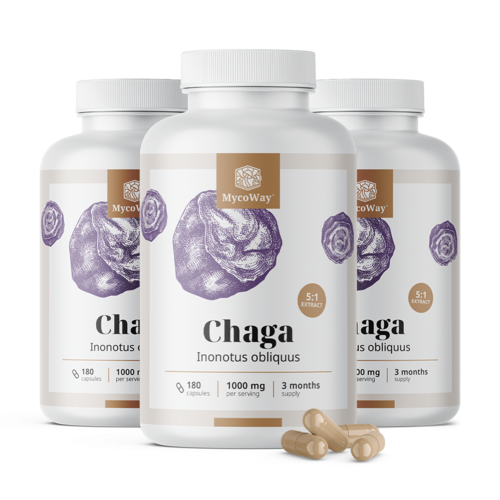 3x Chaga 1000 mg – Extrakt 5:1, zusammen 540 Kapseln