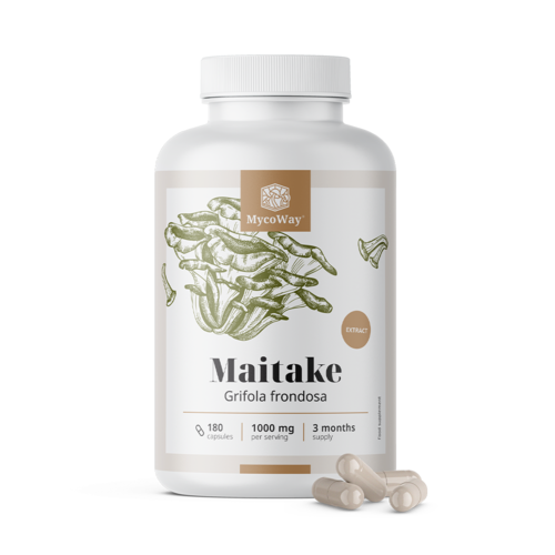 Maitake 1000 mg – Extrakt, 180 Kapseln