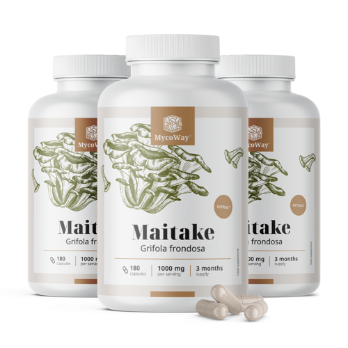 3x Maitake 1000 mg – Extrakt, zusammen 540 Kapseln