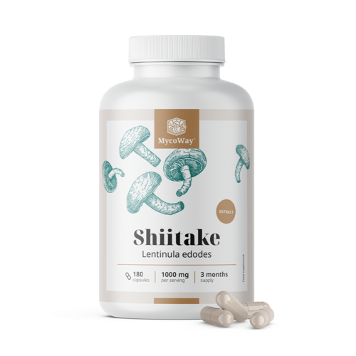 Shiitake 1000 mg - Extrakt, 180 Kapseln