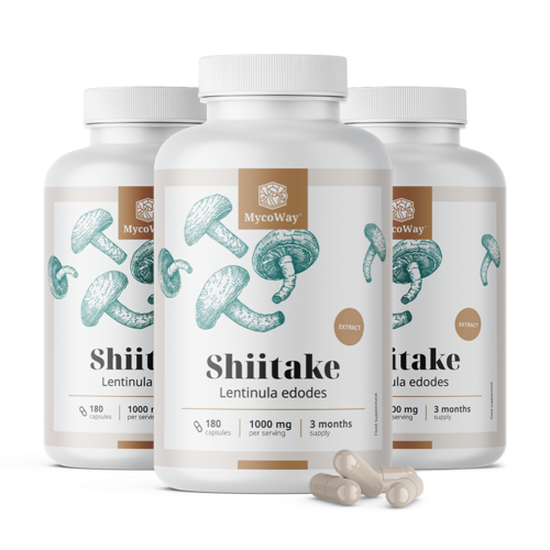 3x Shiitake 1000 mg - Extrakt, zusammen 540 Kapseln