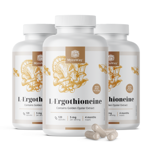 3x L-Ergothionein 5 mg, zusammen 360 Kapseln