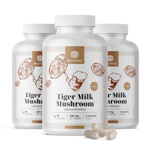 3x Tiger Milk 300 mg - Extrakt des Pilzes Lignosus rhinocerus, zusammen 270 Kapseln