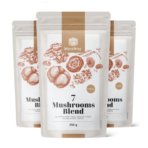 3x Mischung aus sieben Pilzextrakten in Pulverform, zusammen 750 g