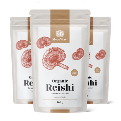 3x BIO Reishi Pulver, zusammen 600 g